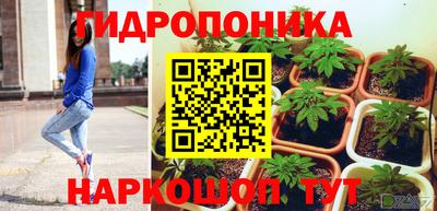 apvp Пугачёв