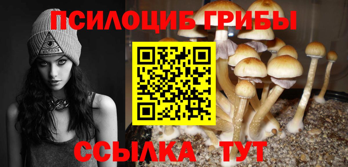 Галлюциногенные грибы прущие грибы  Вход с VPN  как найти закладки  Соль-Илецк  Галлюциногенные грибы мухоморы 