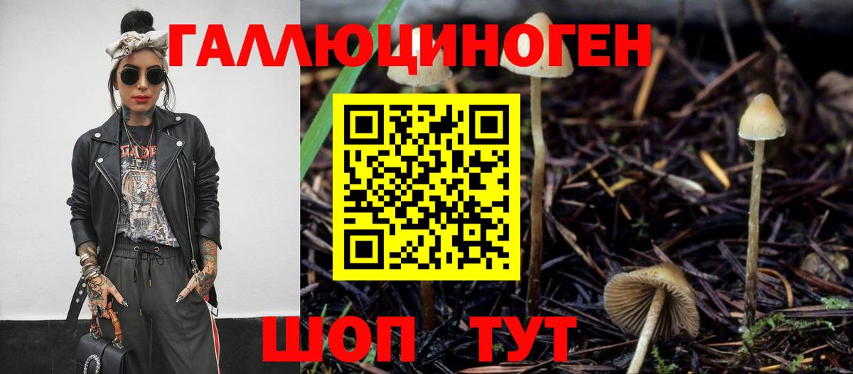 Псилоцибиновые грибы мицелий Соль-Илецк